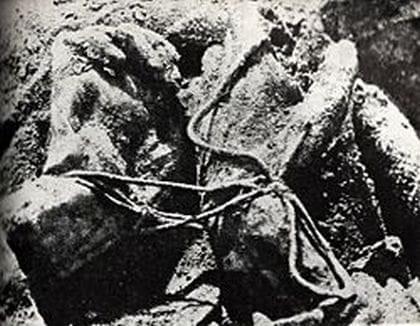 Węzeł katyński - ręce związane na plecach ofiary