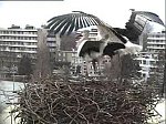 http://images8.fotosik.pl/2/44dd0120cacdc925m.jpg