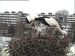 http://images8.fotosik.pl/2/f05775c7312c657em.jpg