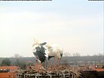 http://images8.fotosik.pl/242/ede4abe5ca8e497am.jpg
