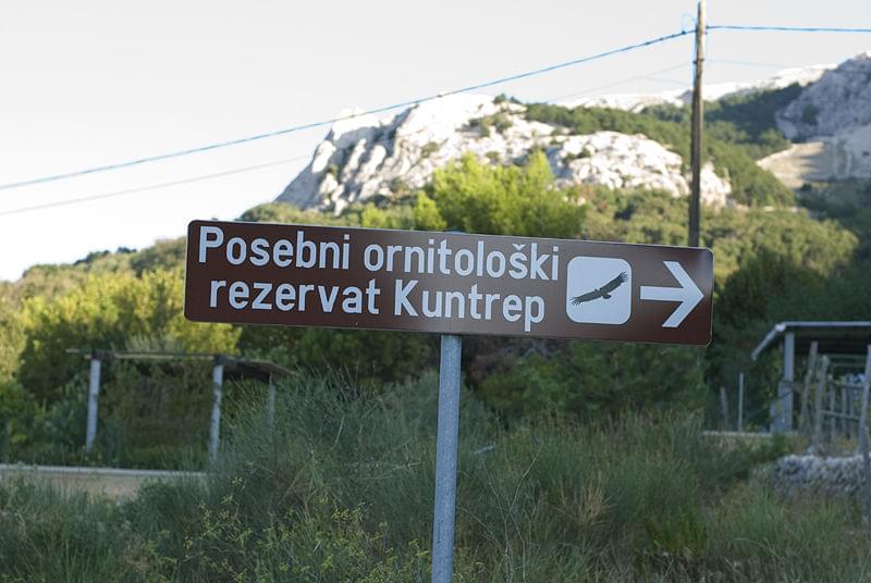 Dołączona grafika