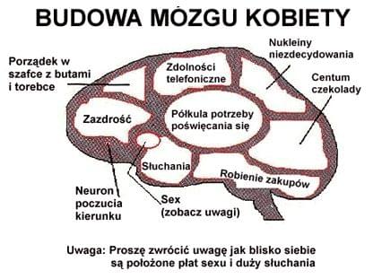 http://images8.fotosik.pl/394/00cdde0cce8d8417.jpg