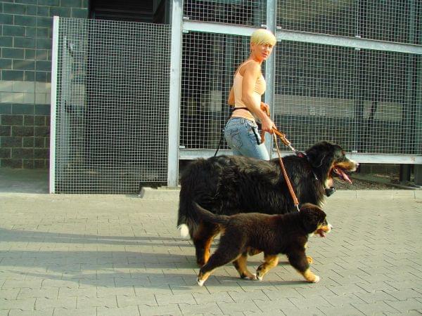 Obrazek