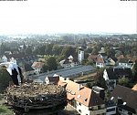 http://images8.fotosik.pl/88/4046003cae7670b4m.jpg