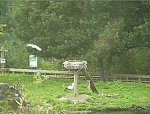 http://images8.fotosik.pl/96/69cc0ca7f906e438m.jpg