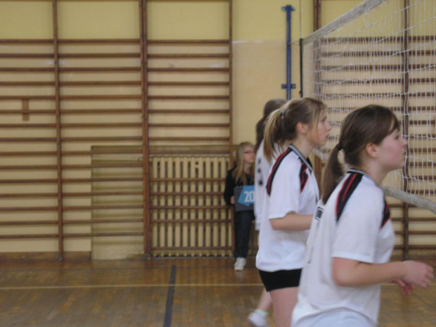 Piłka siatkowa dziewcząt - Gmina 2008/2009