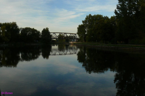 W parku nad rzeką Pisą #Pisa