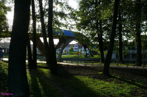 W parku nad rzeką Pisą #Pisa