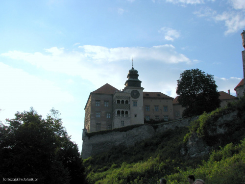 Zamek - Piaskowa Skała. #historia #krajobraz #lezajsktm #PiaskowaSkała #Polska #ruiny #widok #zabytki #zamek #zamki