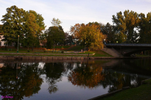 W parku nad rzeką Pisą #Pisa
