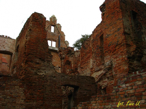 ruiny pałacu w Żmigrodzie