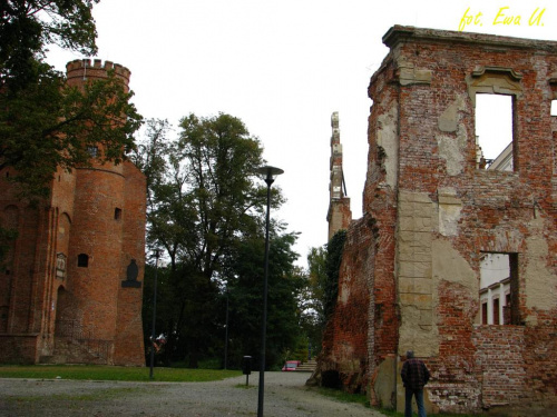 ruiny pałacu w Żmigrodzie
