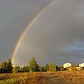 dzisiaj na torach czyli cuda na ziemi :)