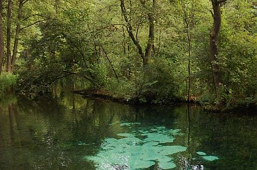 #woda #NiebieskieŹródła #TomaszówMazowiecki