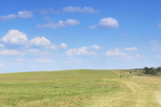 Czechy, Mohelensky step. #Czechy #step