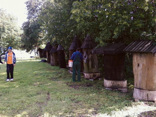 Puszczykowo2009