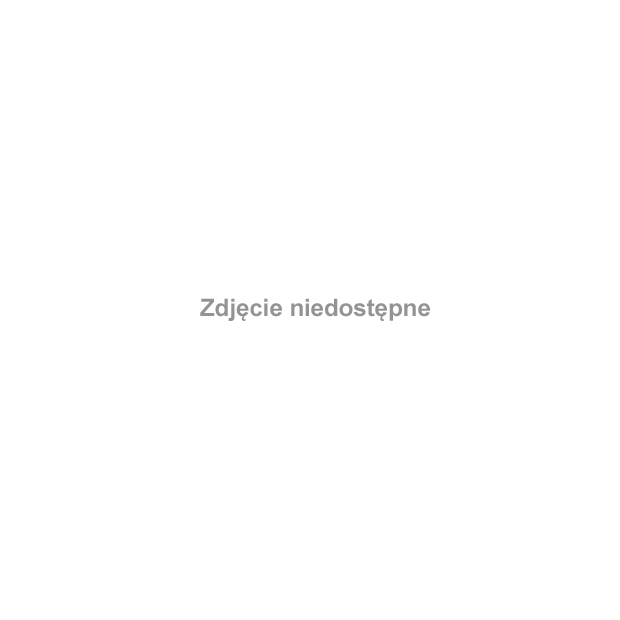 Piece (śląskie) - Nepomucen