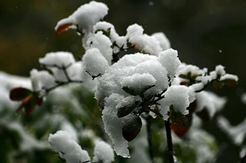 pierwszy śnieg.... 14.10