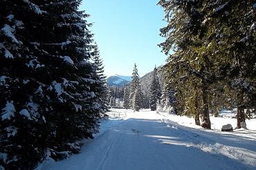 #Zima #Zakopane #DolinaChochołowska