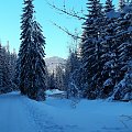 #Zima #Zakopane #DolinaChochołowska