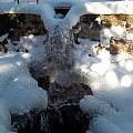 #Zima #Zakopane #DolinaChochołowska