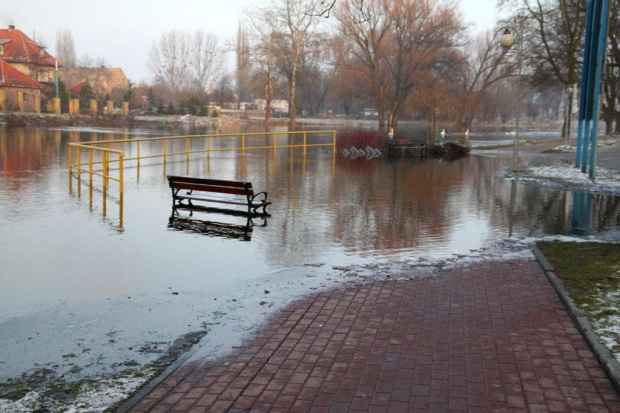 Zawsze w to miejsce przychodzą osoby które dokarmiają ptactwo.