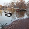 Zawsze w to miejsce przychodzą osoby które dokarmiają ptactwo.