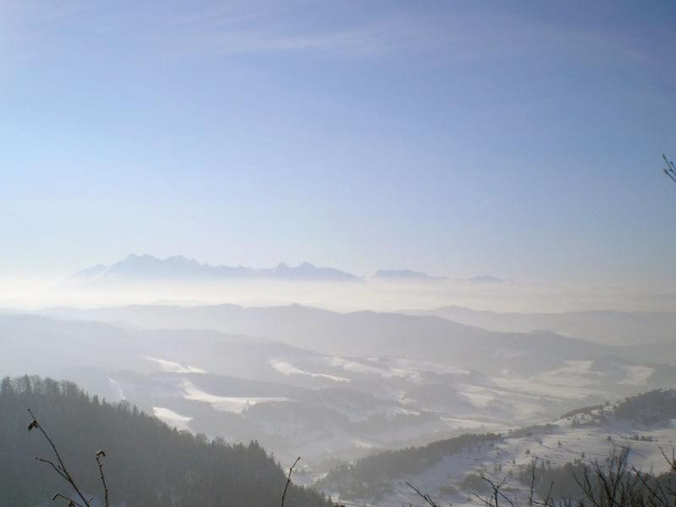 Tatry z Wysokiej w Małych Pieninach #góry #pieniny