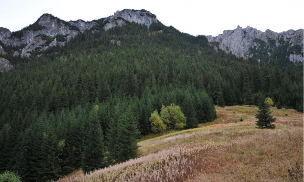 Jesień październikowa w Tatrach