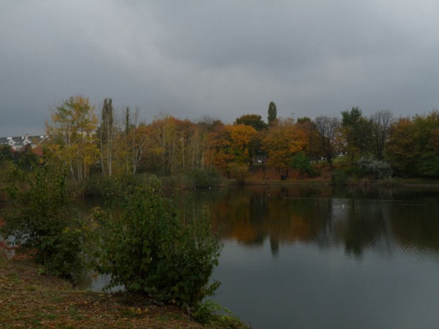 Park Szczęśliwicki