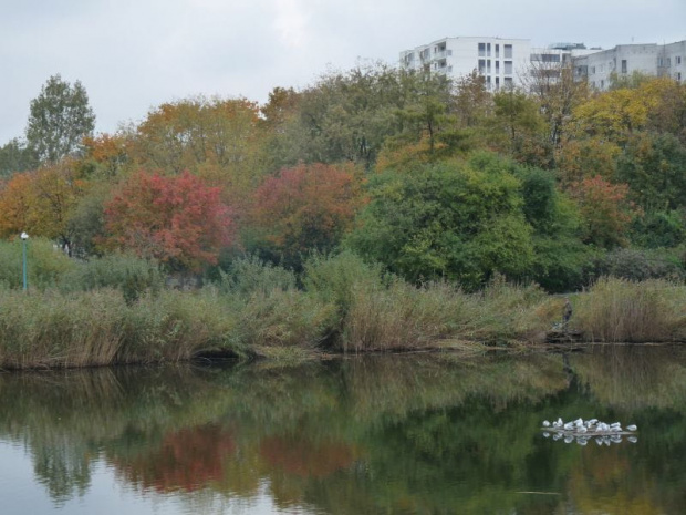Park Szczęśliwicki