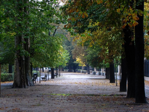 chwila bez deszczu - nad fosą