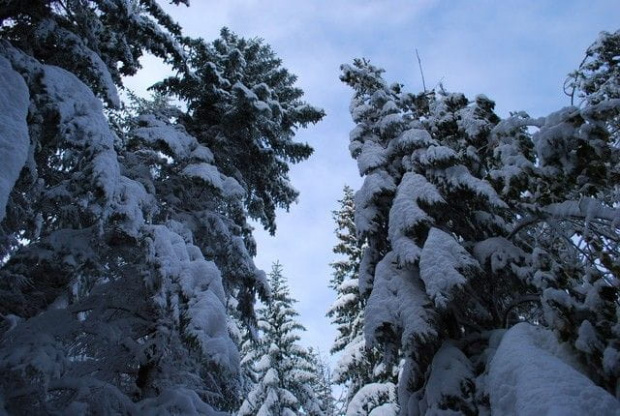 karpacz , góry , śnieg