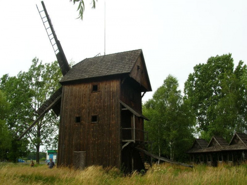 Stary Kobylin (wielkopolskie) - wiatrak Mikołaj