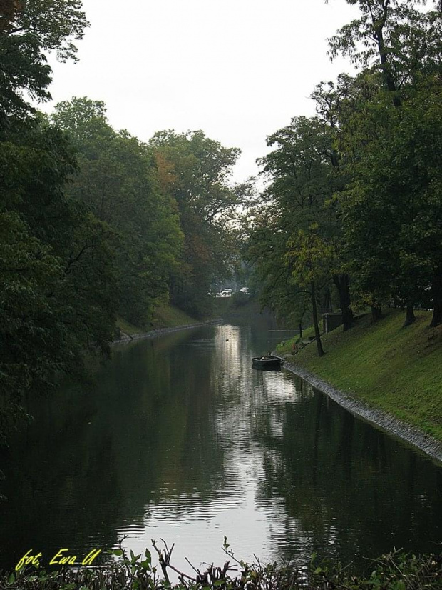 nad fosą