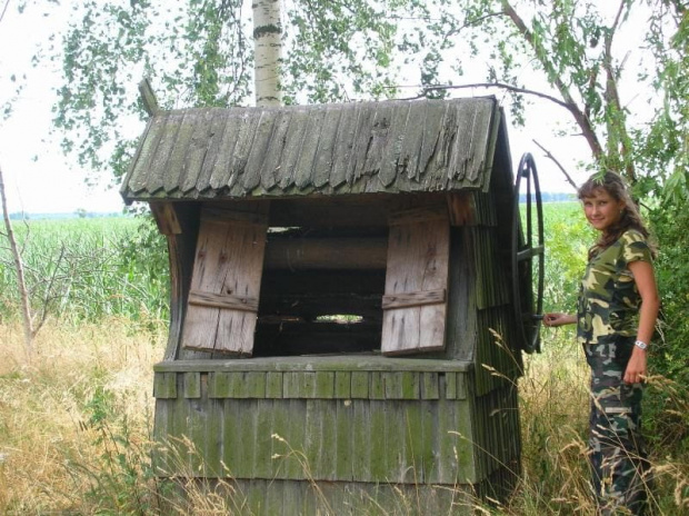 Stary Kobylin (wielkopolskie) - wiatrak Mikołaj