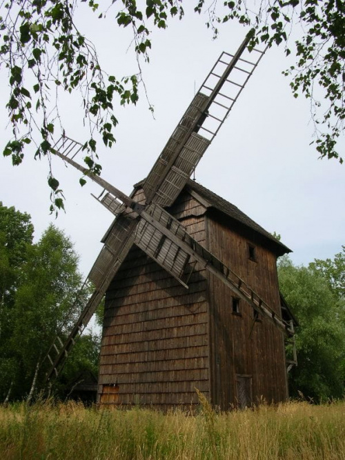 Stary Kobylin (wielkopolskie) - wiatrak Mikołaj