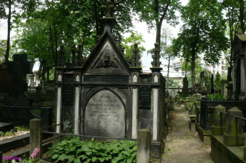 Cmentarz Powązkowski w Warszawie #Warszawa #Powązki