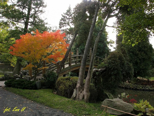 wycieczka niedzielna do ogrodu japońskiego