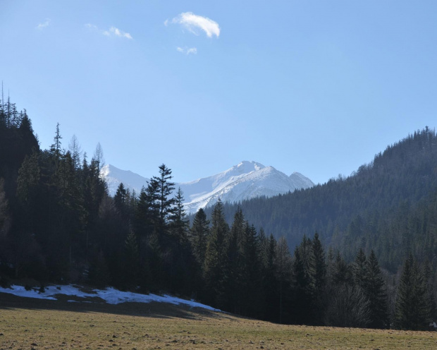 Zakopane - otoczenie Nosala