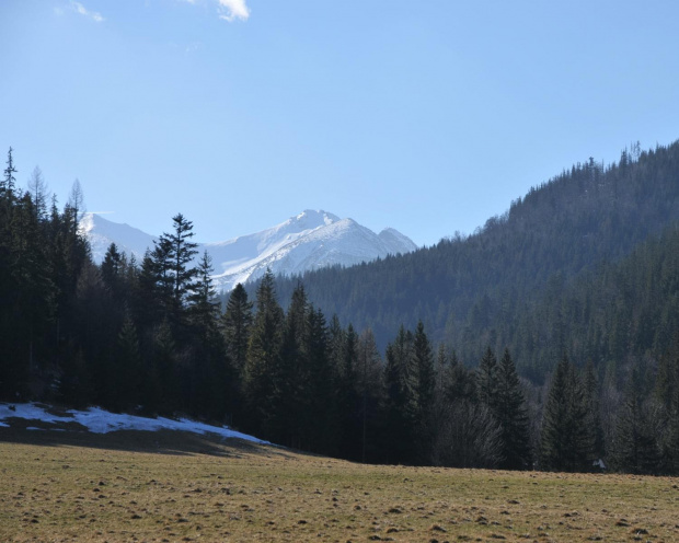 Zakopane - otoczenie Nosala