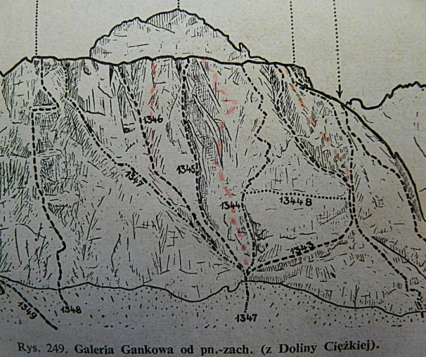 Pn-zach.ściana Galerii Gankowej o wysokości 300m.
Droga klasyczna, którą szliśmy jest oznaczona nr 1347. #góry
