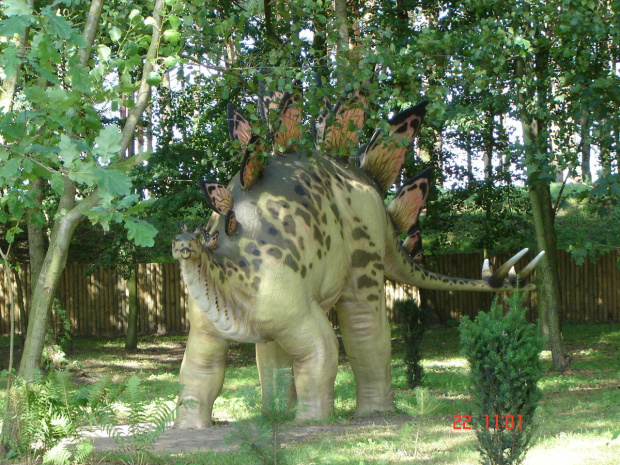 Park dinozaurów, w Rogowie, pomiędzy Gnieznem a Żninem