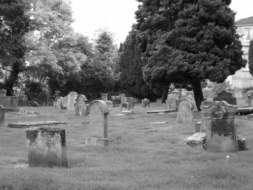 stary cmentarz protestancki.. (Glasgow)