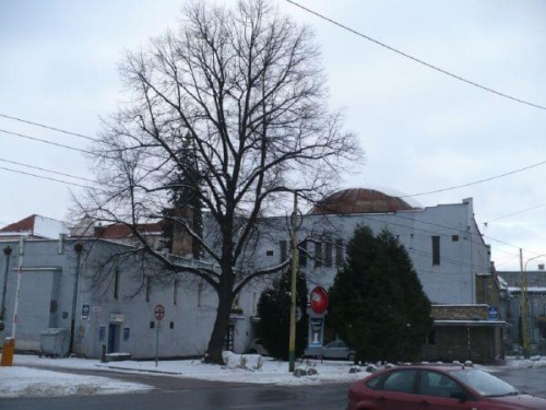 Synagoga w Żilinie