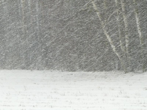 6.01.2011 Opad śniegu, zdjęcie robione przez okno. #zima