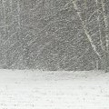 6.01.2011 Opad śniegu, zdjęcie robione przez okno. #zima