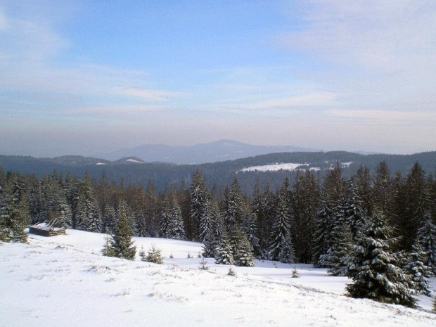 Gorce - Lubań z polany Gorc Troszacki #góry #gorce #beskidy #zima