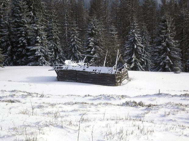 Gorce - Niszczejący szałas na polanie Gorc Troszacki #góry #gorce #beskidy #zima