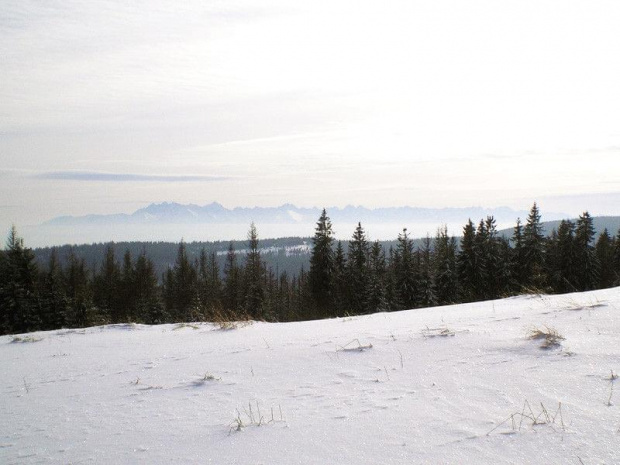 Gorce - Tatry z polany Gorc Troszacki #góry #gorce #beskidy #zima